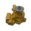 Diselmart Water Pump 6206-61-1103 for Komatsu Engine 6D95L 4D95L Excavator PC200-5 PC220LC-5